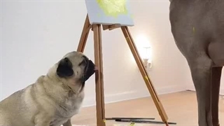 حوصلم سر رفتههه ♥️ اوخدا چه کیوتتتت