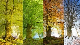 ?Do you have a favorite season? Why