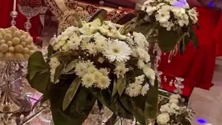 آوای مجد جراحی فک