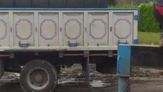 سبتیک تانک چیست