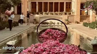 خرید گلاب صادراتی اصل کاشان - آبگین