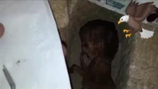 شیمایی شاهزاده ایرانی...کلاهبرداری