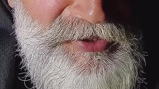 لیلی و مجنون.