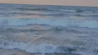 <<شب و به آتیش بزنم که به فردا برسم>>حس میکنم تنهام و دلم میخواد با کسی صحبت کنم ولی هیچ کس نیست:(