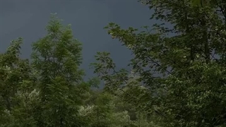 ~... But when the weather is rainy~