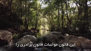 مذمّت صفت بخل در قرآن کریم و روایات اهل‌بیت«سلام‌الله‌علیهم»