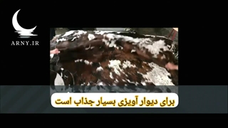 پوست های گاو جذاب