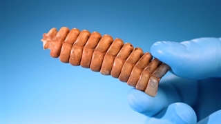 داخل زنگ مار زنگی چی است؟