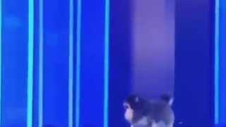 اولین و اخرین اجرا یونتان...