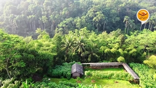 کار، مرگ ، بیماری | افسانه ای از سرخپوستان امریکای جنوبی به روایت لئو تولستوی