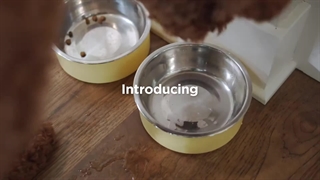 فرش و مبل شوی بیسل مدل power clean 2x