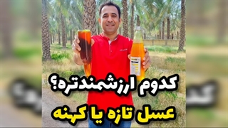 عسل تازه و نو یا عسل کهنه؟!؟ تفاوت‌ها و برتری‌ها
