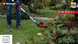 شمشاد زن بنزینی آینهل - نیکاکورپ