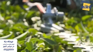 شمشاد زن اولیومک - نیکاکورپ