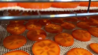 خرمالو خشک با دستگاه خشک کن اسوه صنعت 09138900047