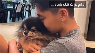 واییی ننه چرا اخه بچم رفت جوجوم رفت خوشگلم رفت عشقم رفت نینیم رفتتتتت دلم براش تنگ شده یونتان منتظر منم باش