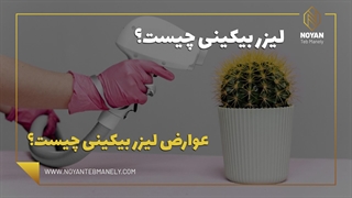 ویدئوی لیزر موهای زائد بیکینی | قبل و بعد از لیزر بیکینی