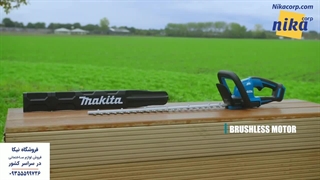 شمشاد زن ماکیتا - نیکاکورپ