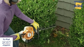 شمشاد زن اشتیل - نیکاکورپ