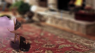 سفارش موشن فتومونتاژ - نمونه موشن فتومونتاژ ایام فاطمیه | بیاسا