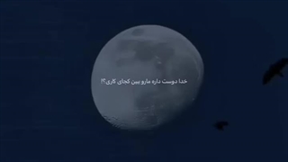 تولدم مبارک :/