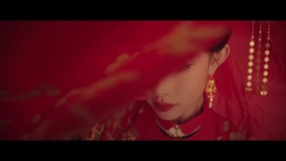 سریال چینی شکوفایی Blossom 2024 (پخش در کانال تلگرامی: phoenixx331@)