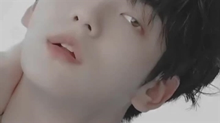 What if I told you I like you???   ₍^ >ヮ<^₎