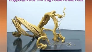 آزمایش مار فرعون - واکنش سوختن جیوه تیوسیانات - شیمی آیمت دکتر نباتی