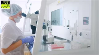 تولید انسان در آزمایشگاه های علمی انسان را به کجا می برد؟