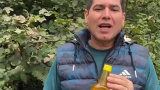 طریقه مصرف کامبوجا