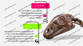پاورپوینت فسیل چیست