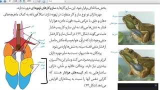 تدریس انلاین زیست و ژنتیک محشر کنکوری ترکیبی مدرس ونوس غیاثی 09149285452