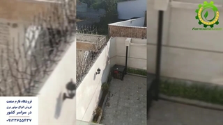 دستگاه شاخ گوزنی - فارم صنعت