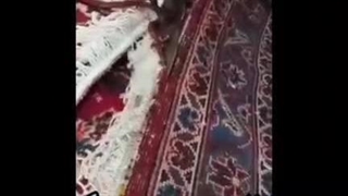 قالیشویی بزرگ لاهیجان