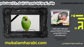 مکالمه عربی، رافع آدم الهاشمی، أرید، زیباترین آهنگ