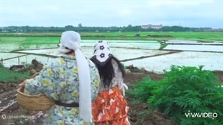 آهنگ شالیزار از مسلم عبداللهی