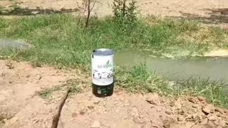 تجربه مصرف هیومیک اسید مایا رشد در خوزستان #کود_کشاورزی#تجربه_مصرف_هیومیک_اسید