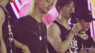 استی نوشته "وقتی داشتم فیلم می‌گرفتم با من چشم توی چشم شد و خداحافظ زندگی."