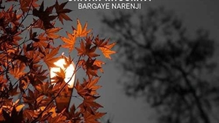 سیروان خسروی برگای نارنجی