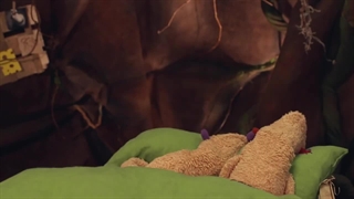 8-Der Affe Im Segelflugzeug