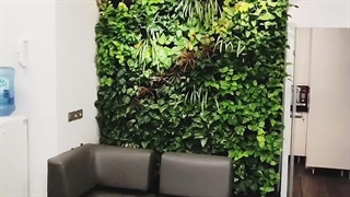 دیوار سبز تهران - گرین وال طبیعی سفر بازی 22