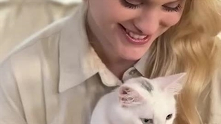 Feeding A Cat $10 Vs $10,000 Sushi - MrBeast Short Video 20