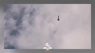 بهترین انتخاب با خریدن میگ 35 بجای سوخو35!! - مقایسه تخصصی دو افسانه ی روسی!