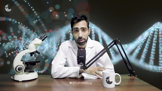 طمع ما را کشت!