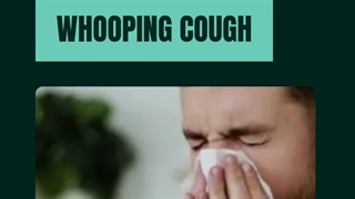 What is whooping cough, and how does it affect the respiratory system?