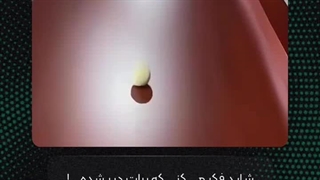 همه چیز در زمان خودش اتفاق می‌افتد