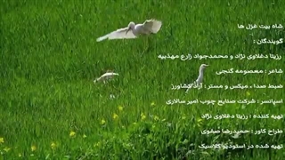 دکلمه زیبا و دلنواز شاه بیت غزل ها ...