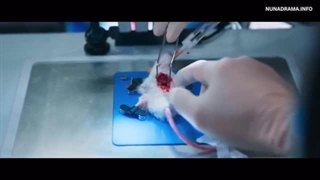 سریال کره‌ای وقتی ستاره ها نجوا میکنند قسمت 2+(When the Stars Gossip 2025)+زیرنویس فارسی|با بازی لی مین هو و گونگ هیوجین