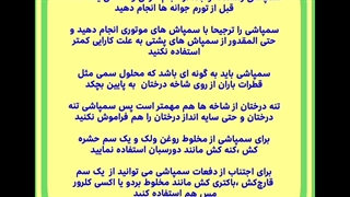 رازهای موفقیت سمپاشی زمستانه در باغات