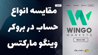 مقایسه انواع حساب‌های بروکر وینگو مارکتس (Wingo Markets) | بررسی شرایط معاملاتی